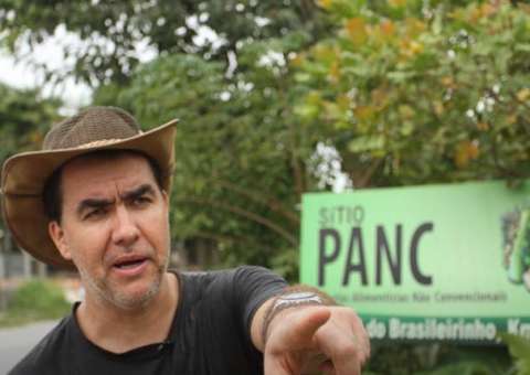 'Plantas não convencionais para a alimentação' será tema de palestra em Manaus 