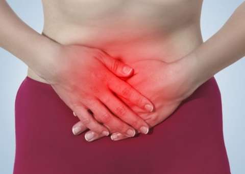 Conheça ervas que ajudam a eliminar gases intestinais 