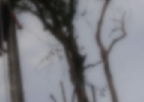 Homem morre eletrocutado e corpo fica pendurado em poste no AM