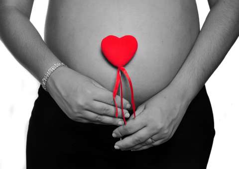 Tratamento com vitamina B3 é capaz de prevenir abortos espontâneos