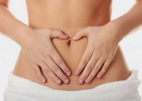 Espécie de goma extraída de planta trata constipação e ajuda a reduzir colesterol 