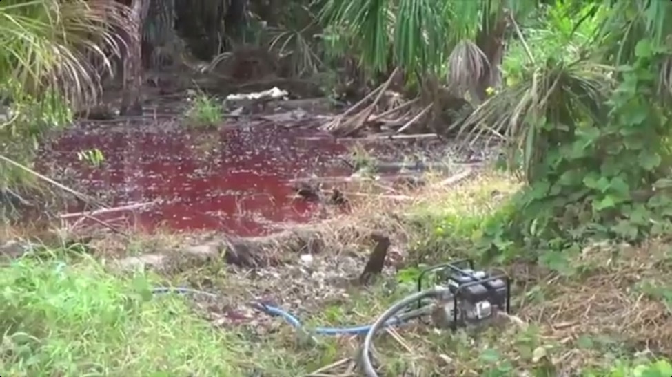 Instituto avaliará impactos ambientais de vazamento de óleo em município do AM