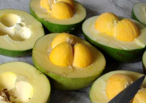 Fruta amazônica pode ajudar a eliminar celulite. Conheça 