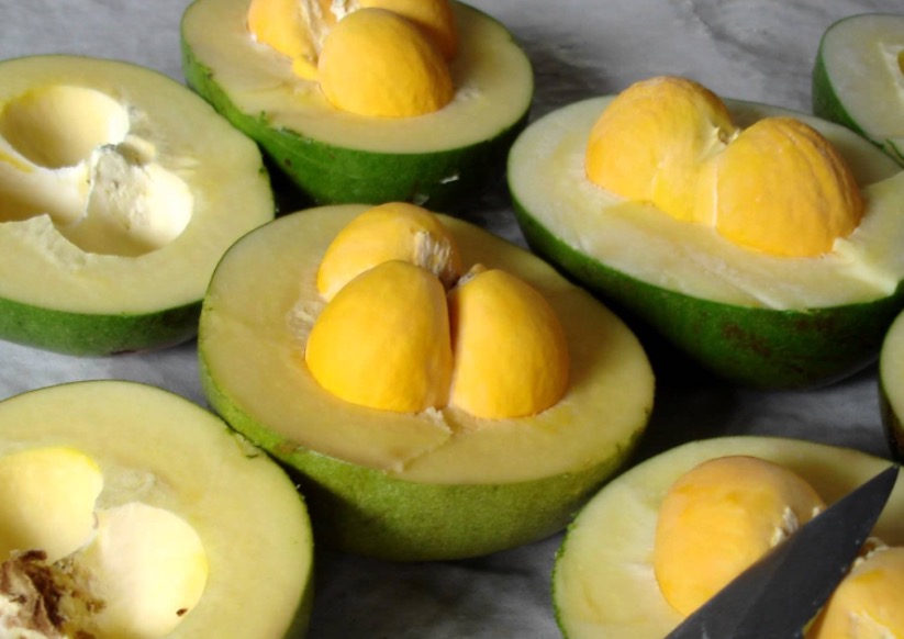 Fruta amazônica pode ajudar a eliminar celulite. Conheça 