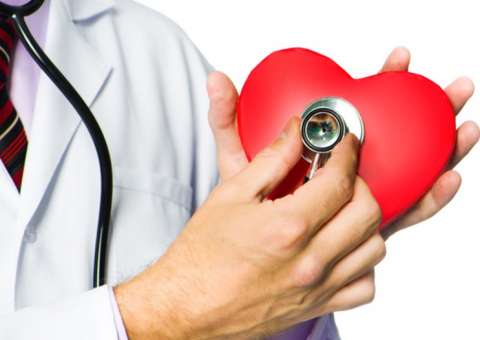 Espécie de espinafre protege o coração e reduz níveis de colesterol 