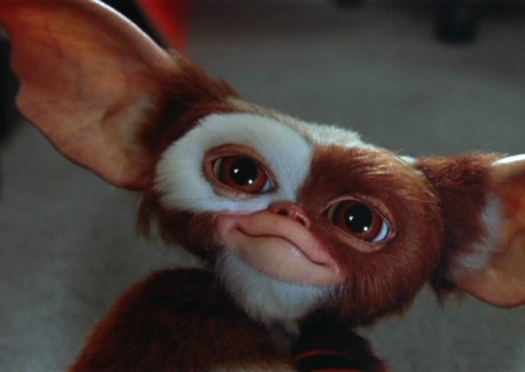 Gremlins vai acontecer em sequência ‘perturbadora e obscura’ 