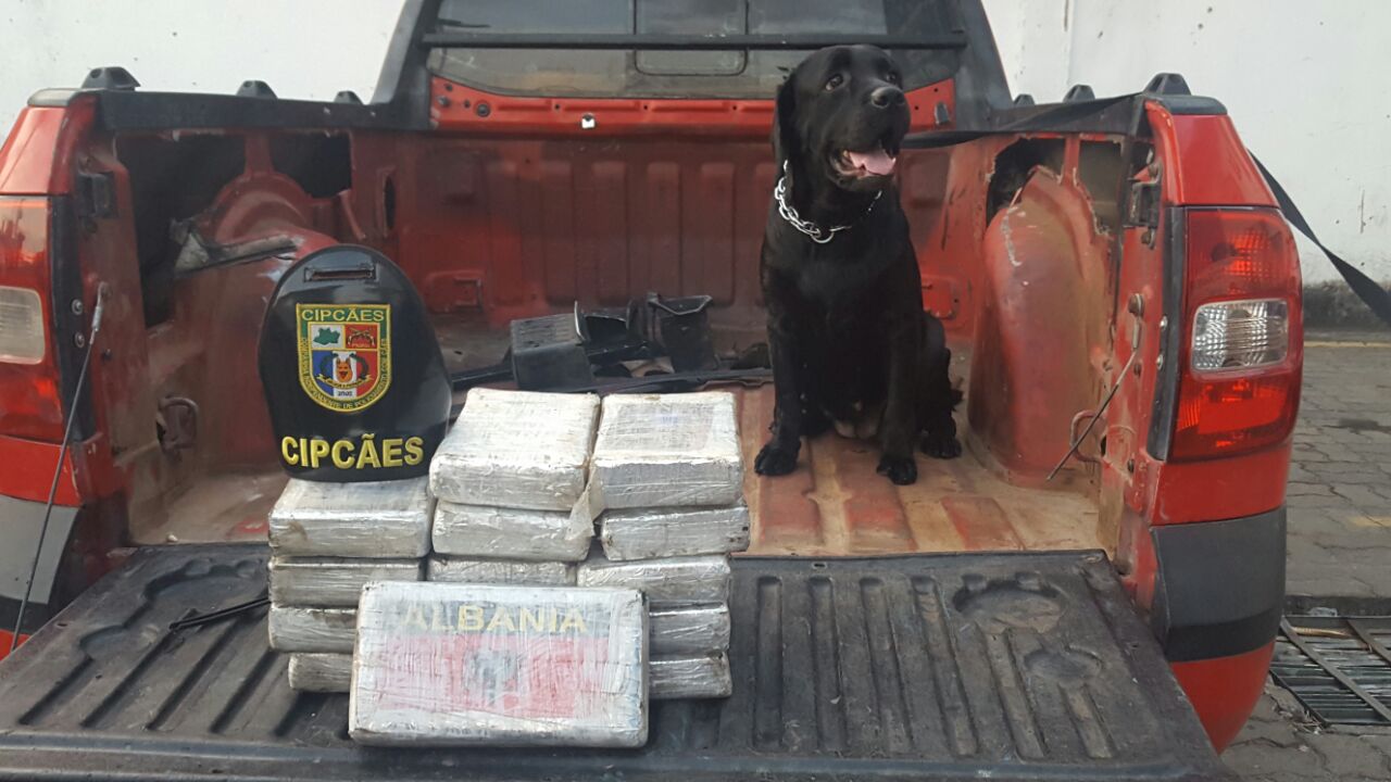 15kg de drogas são apreendidos escondidos em carroceria de carros no porto de Manaus