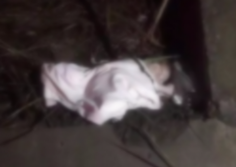 Recém-nascida é encontrada em arbusto e polícia descobre que mãe tem 12 anos