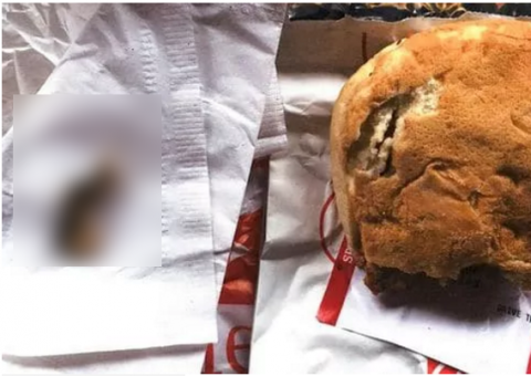 Após a primeira mordida, mulher encontra roedor em sanduíche de frango