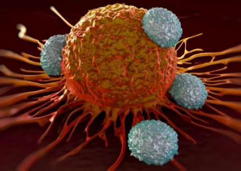 Cientistas criam exame de sangue capaz de detectar câncer precocemente