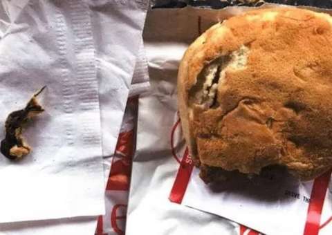 Mulher  é surpreendida ao encontrar rato em sanduíche de frango 