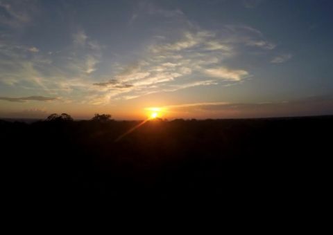 Museu da Amazônia promove caminhada noturna na floresta neste sábado