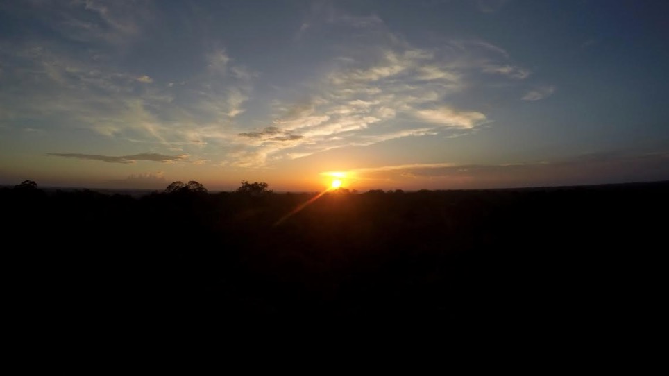 Museu da Amazônia promove caminhada noturna na floresta neste sábado