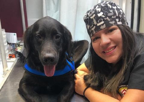  Atendimento veterinário domiciliar é opção para problemas com transporte para seu bichinho