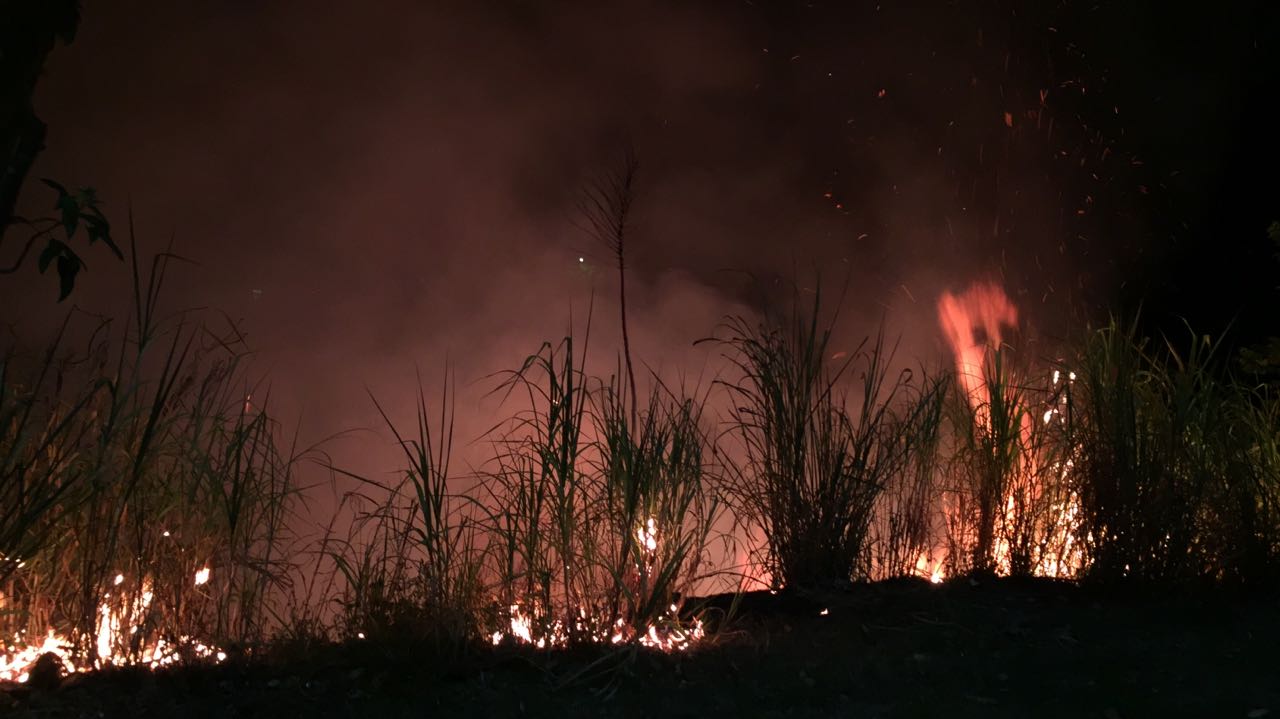 Terceiro incêndio seguido atinge terreno do Ministério Público em Manaus