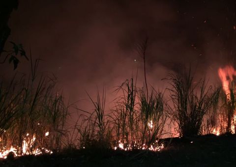 Terceiro incêndio seguido atinge terreno do Ministério Público em Manaus