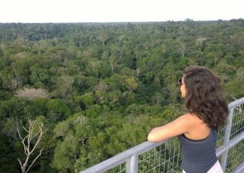 Manauaras terão desconto para ver eclipse solar na torre do Museu da Amazônia