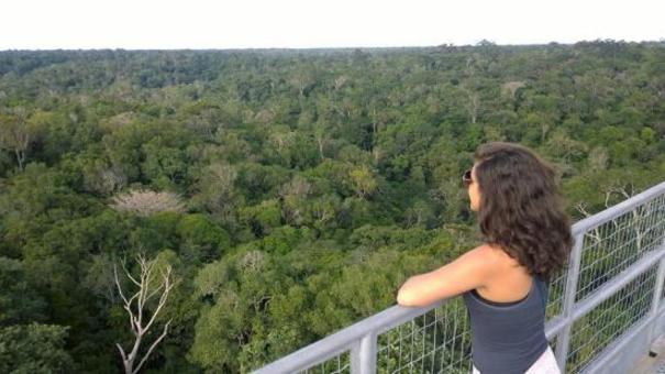 Manauaras terão desconto para ver eclipse solar na torre do Museu da Amazônia