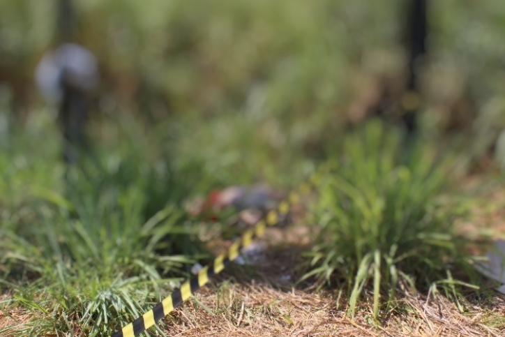 Homem desaparecido é encontrado morto com sinais de tortura e estupro em Manaus