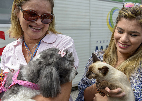 Serviços de castração de cães e gatos poderão ser agendados por telefone  