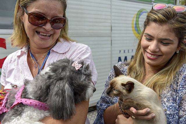 Serviços de castração de cães e gatos poderão ser agendados por telefone  