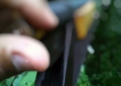 Durante caça, adolescente de 16 anos mata marido com tiro de espingarda no AM