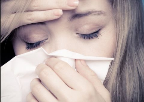 Banho de folhas medicinais é indicado para tratar sinusite e enxaqueca 