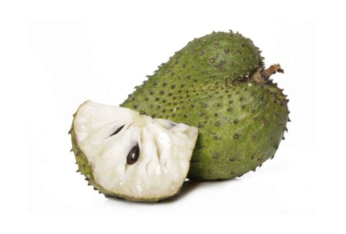 Qual parte da graviola serve para combater o câncer?