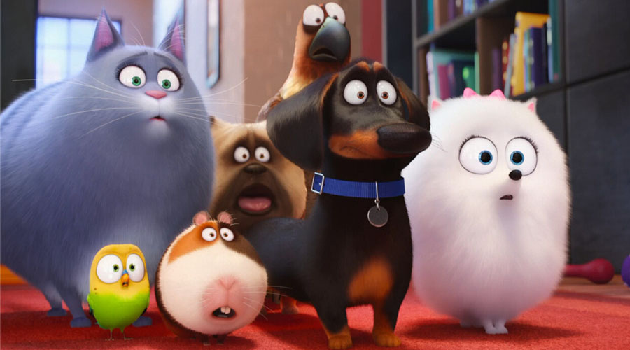 Continuação de ‘Pets – A Vida Secreta dos Bichos’ ganha data de estreia