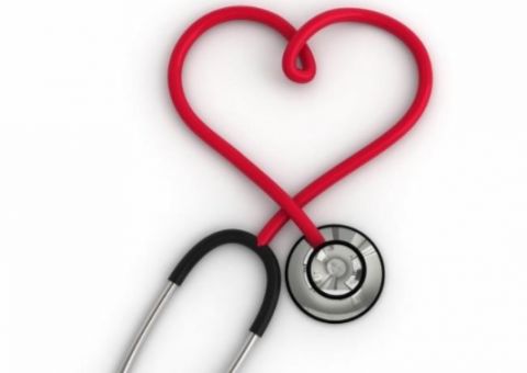 Chá pode diminuir riscos de doenças cardiovasculares e acelerar o metabolismo 