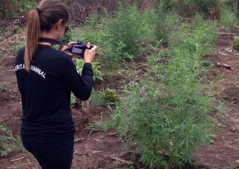 Estudos sobre criminalística no Amazonas são apresentados em Congresso Nacional