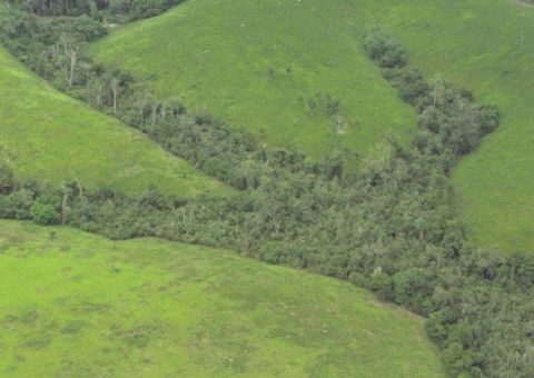 Após 30 anos, governo autoriza exploração mineral na Amazônia