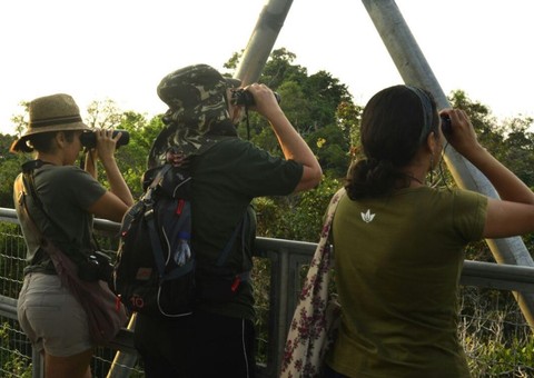 Torre do Museu da Amazônia tem observação de aves neste sábado