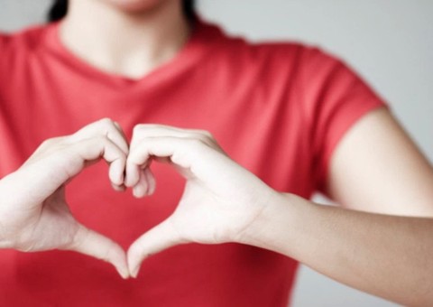 Conheça semente indicada para prevenir doenças do coração 