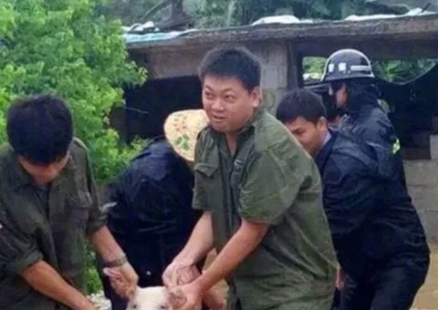  Porco 'sorri' ao ser salvo de enchente. Veja 