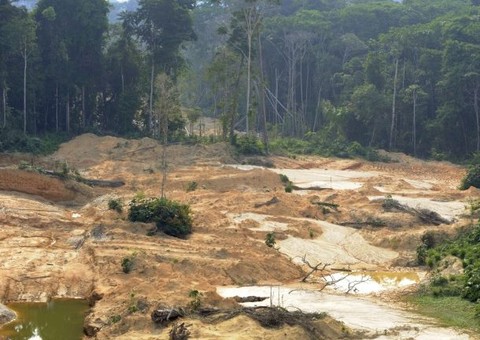 Mais de meio milhão assinam petição em defesa da Amazônia