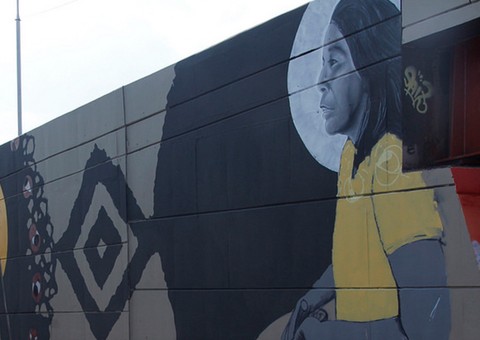 Em Manaus, mais um viaduto recebe pintura em grafite 