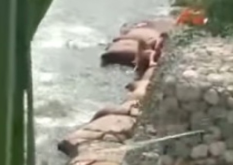 Casal é flagrado fazendo sexo selvagem em balneário