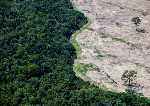 Juiz federal suspende qualquer decreto sobre extinção da Renca na Amazônia