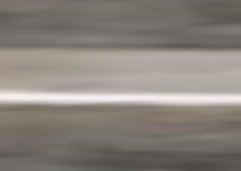 Micareta indoor agita o Unifest Folia com mais de dez horas de festa