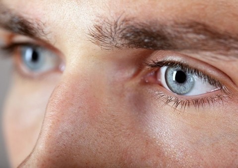 Cientista promete vida além dos 1000 anos; entenda