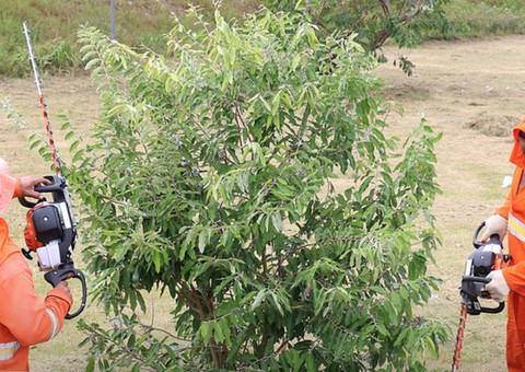 Em Manaus, igarapé do Mestre Chico recebe equipes de limpeza 