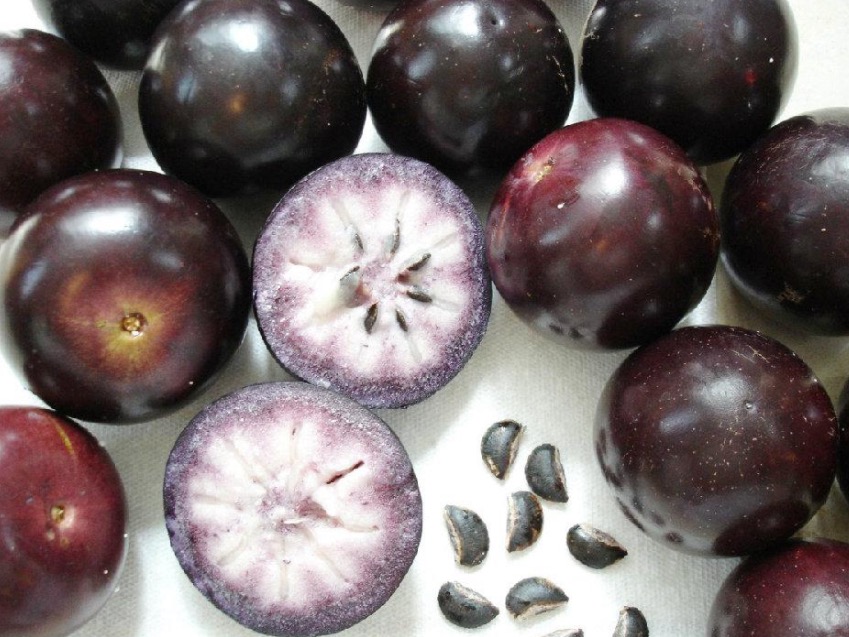 Conheça fruta que pode tratar doenças nas vias respiratórias