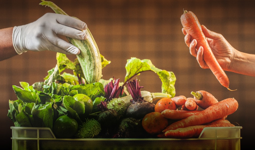 Sesc AM promove Concurso de Receitas Mesa Brasil