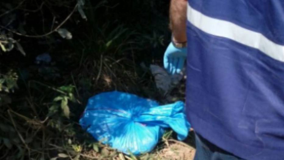Catador de lixo encontra corpos esquartejados de mulher e criança 