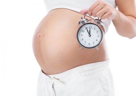 Estimulante do útero, planta pode auxiliar na hora do parto 