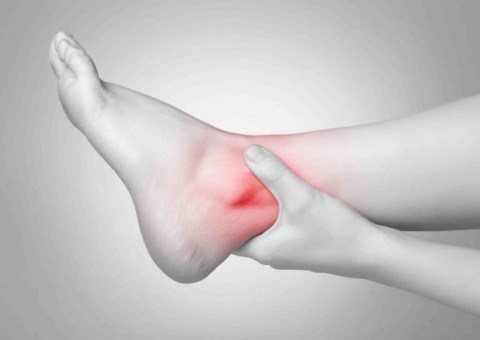 Planta ornamental pode auxiliar no tratamento de gota. Conheça 