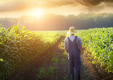 TCU revoga medida cautelar que paralisava reforma agrária no país