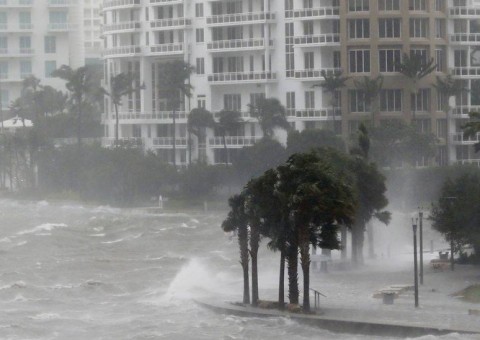 Furacão Irma já deixa três mortos na Flórida