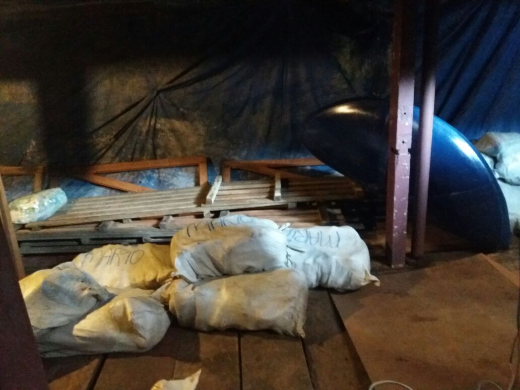 Cão ajuda polícia a encontrar 800kg de pescado ilegal e mais 8 kg de drogas em barco de Manaus